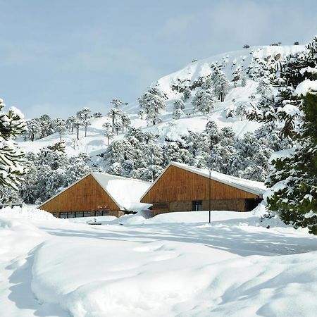 Hotel Y Cabanas Del Nevado 卡薇亚惠 外观 照片